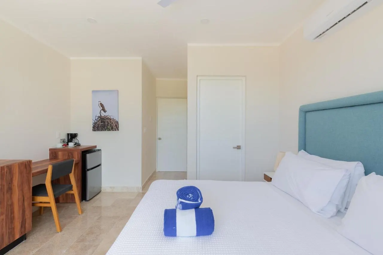 Apartment Coolest Condo In Viva Residence With Sky Bar And Private Plunge Pool Tulum Mexico